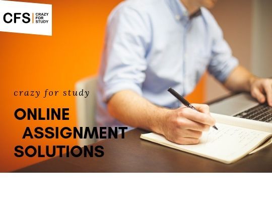 business economics assignments 